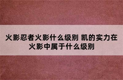 火影忍者火影什么级别 凯的实力在火影中属于什么级别